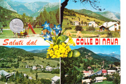 01198 COLLE DI NAVA IMPERIA - Imperia