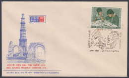 Inde India 1970 Special Cover Inpex Stamp Exhibition, Qutub Minar, Monument, Jantar Mantar Pictorial Postmark - Covers & Documents