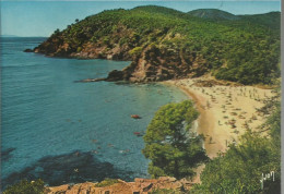 Cavalaire - Plage De Bon-Porto - (P) - Cavalaire-sur-Mer