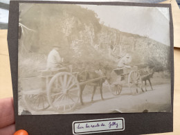 Photo Snapshot 1900 BOURDON-LANCY Sur La Route De Gilly Homme Avec Cheval, Calèche Charette , Anne - Personnes Anonymes