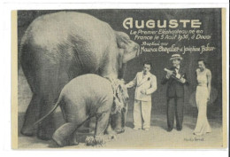CPA - Auguste Le 1er éléphant Baptisé Par Joséphine Baker - Donne Celebri