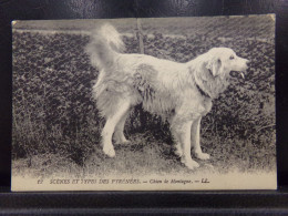 6691 . CHIEN DE MONTAGNE . LL . 12 . SCENES ET TYPES DES PYRENEES . OBLITEREE - Autres & Non Classés