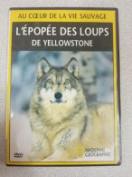 DVD National Geographic - L'épopée Des Loups De Yellowstone - Autres & Non Classés