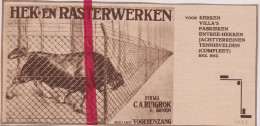 Pub Reclame - Hek & Rasterwerken - Fa Ruigrok - Vogelenzang - Orig. Knipsel Coupure Tijdschrift Magazine - 1925 - Zonder Classificatie
