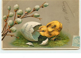 Carte Gaufrée - Joyeuses Pâques - Poussin - Easter