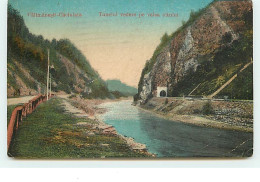 Caciulata - Tuneful Vedere Pe Valea Oltului - Roemenië