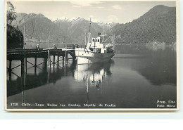 CHILI - Lago Todos Os Santos, Muelle De Peulla - Chile