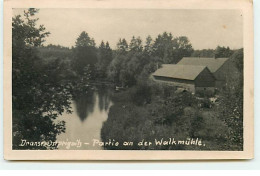 Allemagne - DRANSE-OSTPROGNITS - Partie An Der Walkmühle - Autres & Non Classés