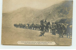 Amérique - Team Of Mules Hauling Large Cochran Boiler Over Mountains In South America - Andere & Zonder Classificatie