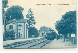 CHATENAY - La Gare Prise Du Quai - Arrivée D'un Train - Chatenay Malabry