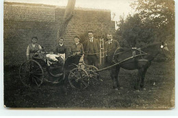 Belgique - Photo Waremme - Famille Autour D'enfants Assis Dans Une Calèche - Waremme