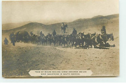 Amérique - Team Of Mules Hauling Large Cochran Boiler Over Mountains In South America - Other & Unclassified