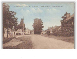 BEAUMONT-LES-AUTELS Route De Brou Entrée Du Château - Andere & Zonder Classificatie