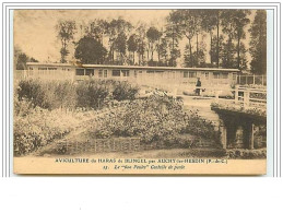 Aviculture Du Haras De Blingel Par AUCHY-LES-HESDIN Le "600 Poules" Contrôle De Ponte - Otros & Sin Clasificación