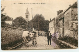 CHEVANNES - Une Rue Du Village - Attelage De Boeufs - Other & Unclassified