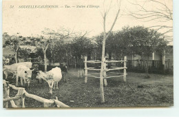 Nouvelle Calédonie - TAA - Station D'Elevage - Nueva Caledonia