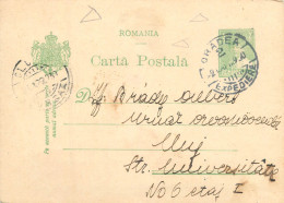 Romania Postal Card Royalty Franking Stamps 1930 Cluj - Cats