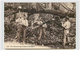 Bûcherons Dans La Forêt De BALLEROY - Autres & Non Classés