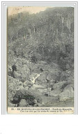 Forêt De Niaoulès C'est à Cet Arbre Que L'on Attribue La Salubrité De L'Ile - Nouvelle Calédonie