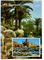 CPSM  10.5 X 15 Var  SAINT RAPHAEL  FREJUS   Port    Jardins - Saint-Raphaël