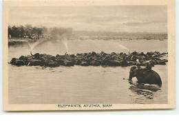 THAILANDE - Elephants, Ayuthia - SIAM - Thaïland