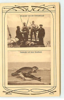 Chasse Aux Phoques - Heimkehr Von Der Seehundsjagd - Hunting
