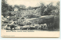 Seychelles - MAHE - Victoria - Botanical  Station - Seychelles