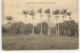 Guadeloupe - SAINT-CLAUDE - Le Champ Barolet - Autres & Non Classés