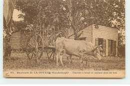 Guadeloupe - Hauteurs De LA GOYAVE - Charette à Boeufs Se Rendant Dans Les Bois - Andere & Zonder Classificatie