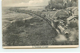 Canada - A Trainload Of Logs - Train Transportant Des Troncs D'arbre - Bois - Other & Unclassified