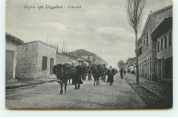 ALBANIE - SHKODRA - Kujtim Nga Shqypënia - Albania