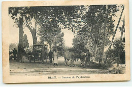 BLAN - Avenue De Puylaurens - Homme Avec Un Tablier De Boucher - Sonstige & Ohne Zuordnung