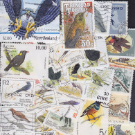 110 Timbres Différents: Oiseaux - Sonstige & Ohne Zuordnung