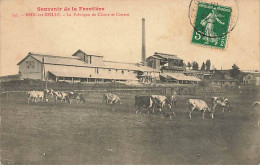 BRIN-SUR-SEILLE - La Fabrique De Chaux Et Ciment - Souvenir De La Frontière - Autres & Non Classés