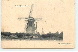 Belgique - Moulin à Quaedmechelen - Windmill - Ham