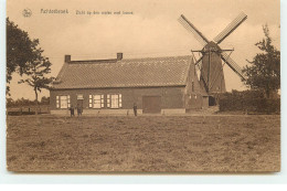 Belgique - ACHTERBROEK - Zicht Op Den Molen Met Hoeve - Moulin à Vent - Windmill - Altri & Non Classificati