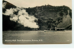 Nouvelle Zélande - Steaming Chiffs - Lake Rotomahana - Rotorua - Neuseeland