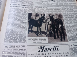 DOMENICA DELL’AGRICOLTORE 1940 L’ASINO DI RAGUSA - Andere & Zonder Classificatie