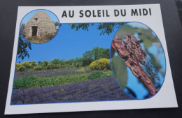 Au Soleil Du Midi - Borie, Lavandes Et Cigale - Editions Méridionales, St. Jean De Vedas - Andere & Zonder Classificatie