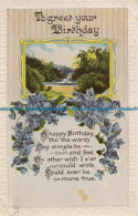 R106403 To Greet Your Birthday. Fountain. Poem. 1924 - Monde