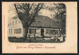 AK Burg Colonie I. Spreewald, Gasthof Zur Tanne  - Autres & Non Classés