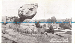 R105714 The Toad Rock. Tunbridge Wells - Welt