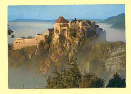 25. Le Château De JOUX (voir Scan Recto/verso) - Sonstige & Ohne Zuordnung