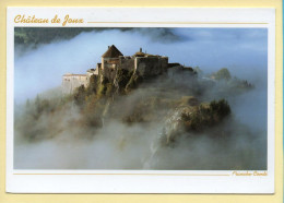 25. Château De JOUX Aux Environs De Pontarlier (voir Scan Recto/verso) - Other & Unclassified