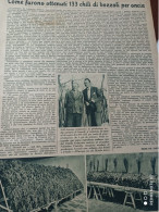 DOMENICA DELL’AGRICOLTORE 1940 RONCHE DI SACILE - Sonstige & Ohne Zuordnung