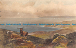 R105786 Porlock Bay From Porlock Weir. Worth. 1916 - Mundo