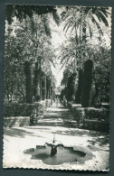 ESPAGNE - ANDALOUSIE - SEVILLA - Alcazar Jardines - 1956 - Sevilla