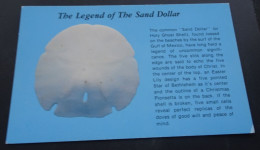 Florida - The Legend Of The Sand Dollar - Florida Postcard Producers, Walton Beach, Florida - Autres & Non Classés