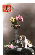 Chat Sur Table -cat -katze - Poes Op Tafel En Bloemen - Chats