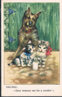 2 Chats Et Chien  -cats Dog- Poesjes Met Melk , Hond -katzen Hunde - Chats